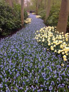 Květinový park Keukenhof