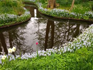 Květinový park Keukenhof