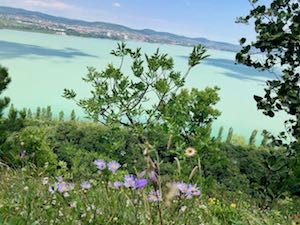 Balaton