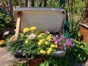 Kittenbergerovy zahrady